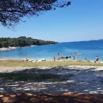 Nora Stinjan *