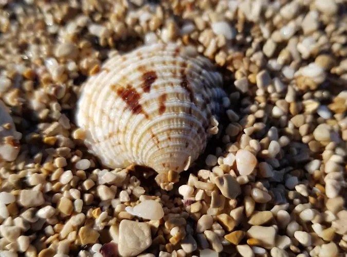 Nora Stinjan Appartement