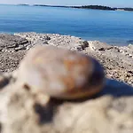 Nora Stinjan * Pula