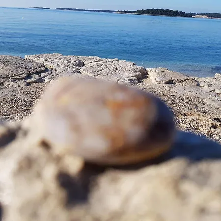Nora Stinjan * Pula